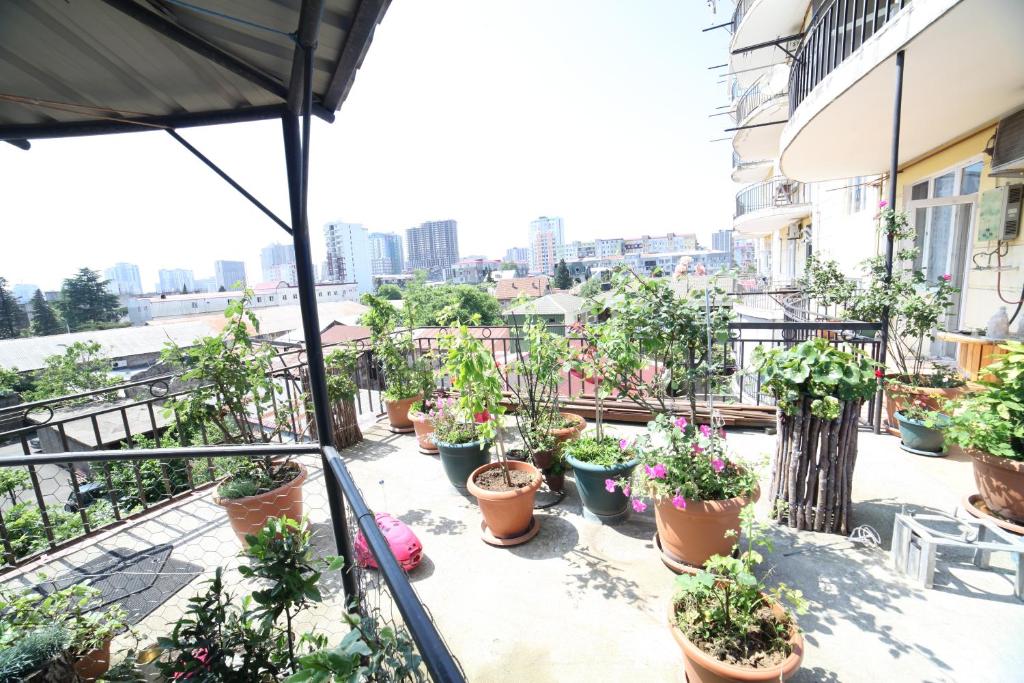 Apartment on Lermontova room 1