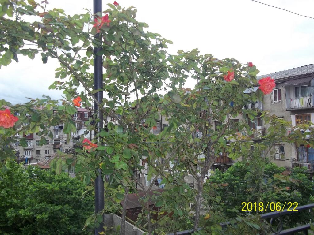 Apartment on Lermontova room 5